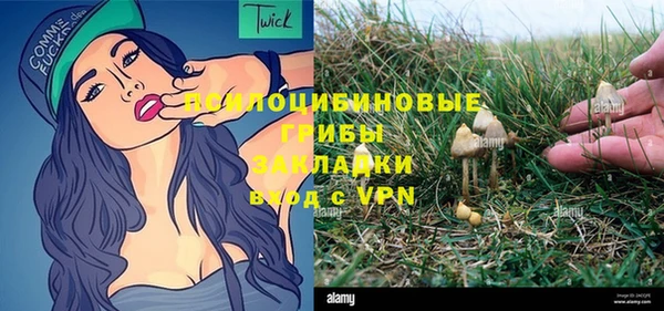 дживик Алексин