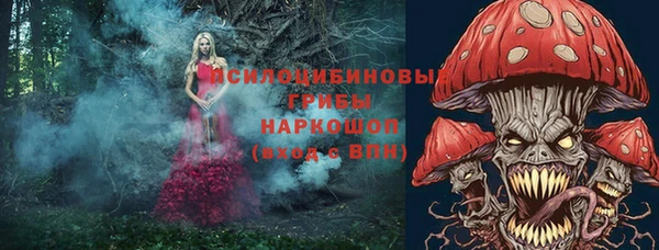 бошки Алексеевка