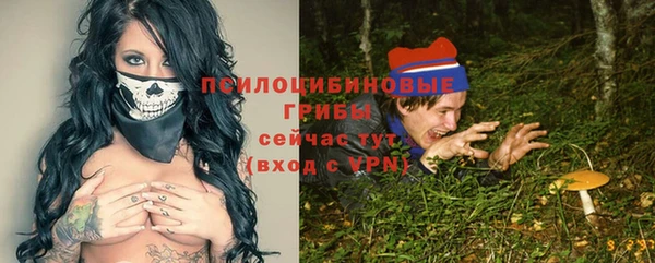 бошки Алексеевка