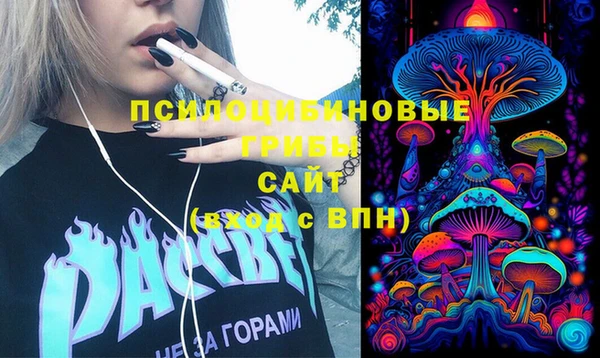 дживик Алексин