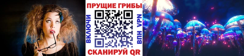 Псилоцибиновые грибы GOLDEN TEACHER  MEGA ссылки  Санкт-Петербург 