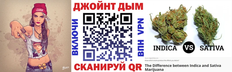 Конопля сатива  Санкт-Петербург 
